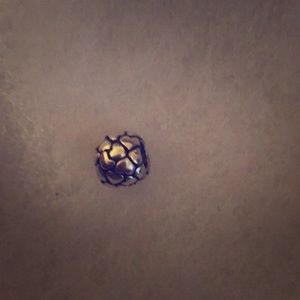 Pandora charm